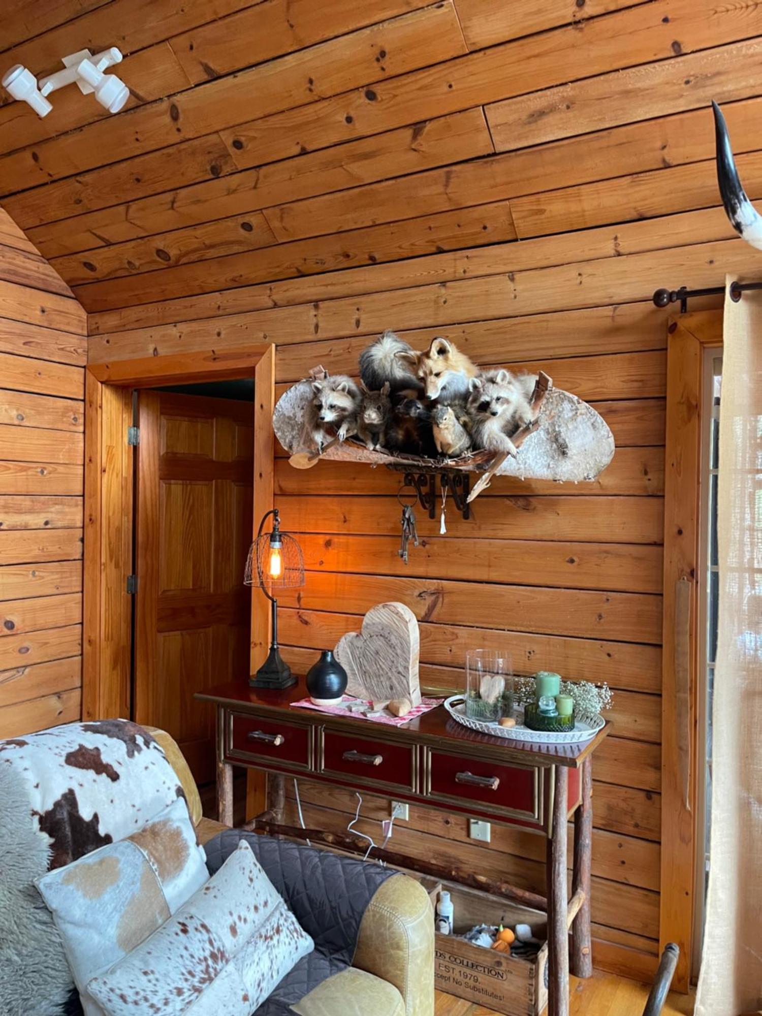 Homestead Retreat Newport Ngoại thất bức ảnh