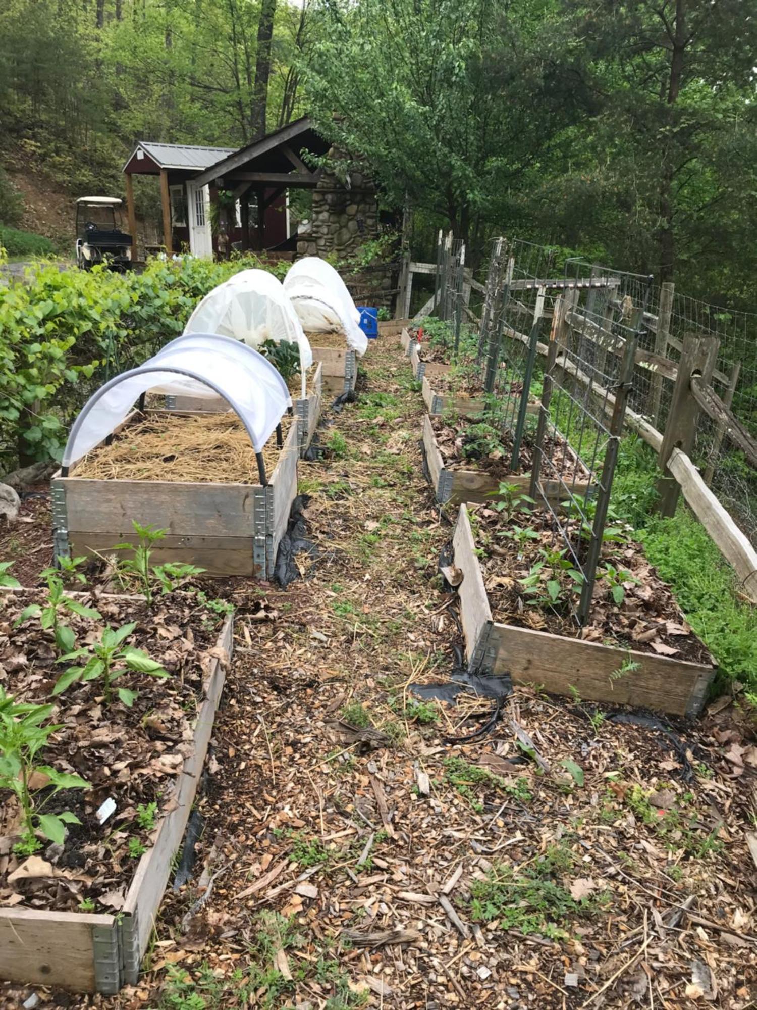 Homestead Retreat Newport Ngoại thất bức ảnh